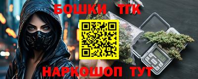 МДПВ Пенза