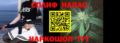 МДПВ Пенза