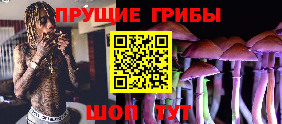 купить наркоту  Вход с VPN  Чита  Псилоцибиновые грибы MAGIC MUSHROOMS 